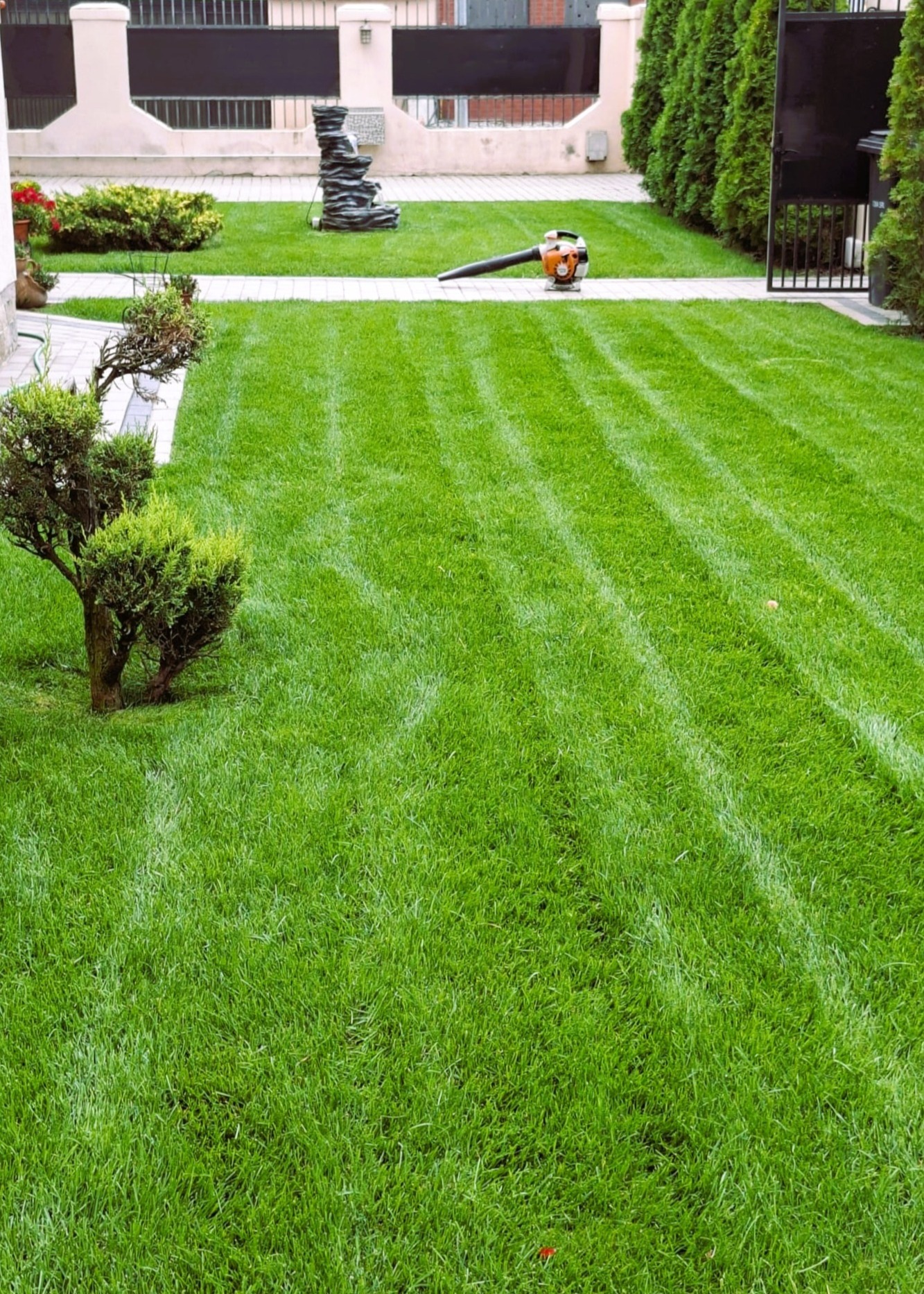 Gazon Rulou și Însămânțare